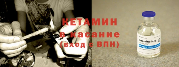 сатива Магас