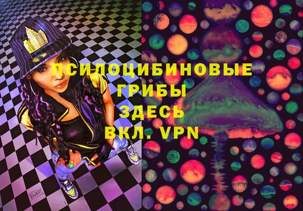 сатива Магас