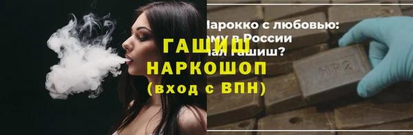сатива Магас