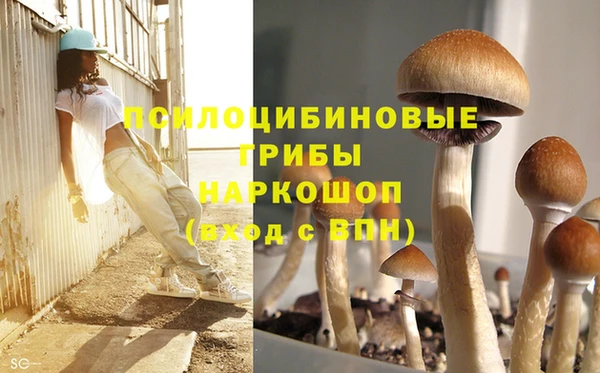 каннабис Магадан