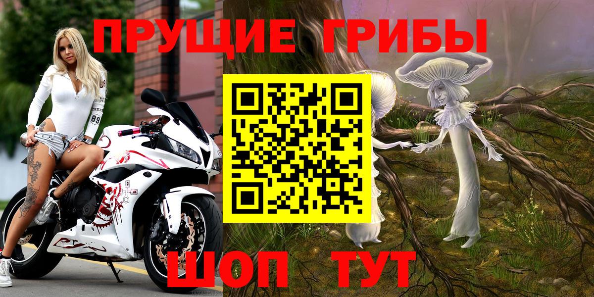 Красный Сулин  Галлюциногенные грибы Psilocybe  Псилоцибиновые грибы мухоморы  Вход с VPN 